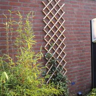 Nature Latwerk Voor Tuin 70X180 Cm Bamboe trellis