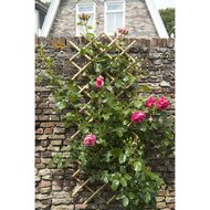 Nature Latwerk Voor Tuin 70X180 Cm Bamboe trellis