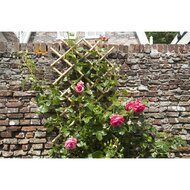 Nature Latwerk Voor Tuin 70X180 Cm Bamboe trellis